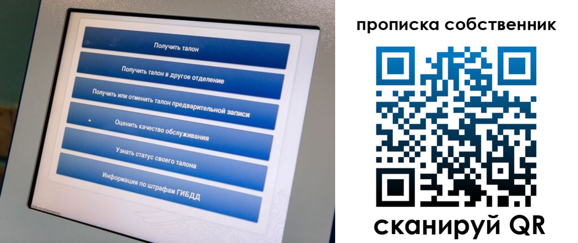 прописка поиск в Камышлове