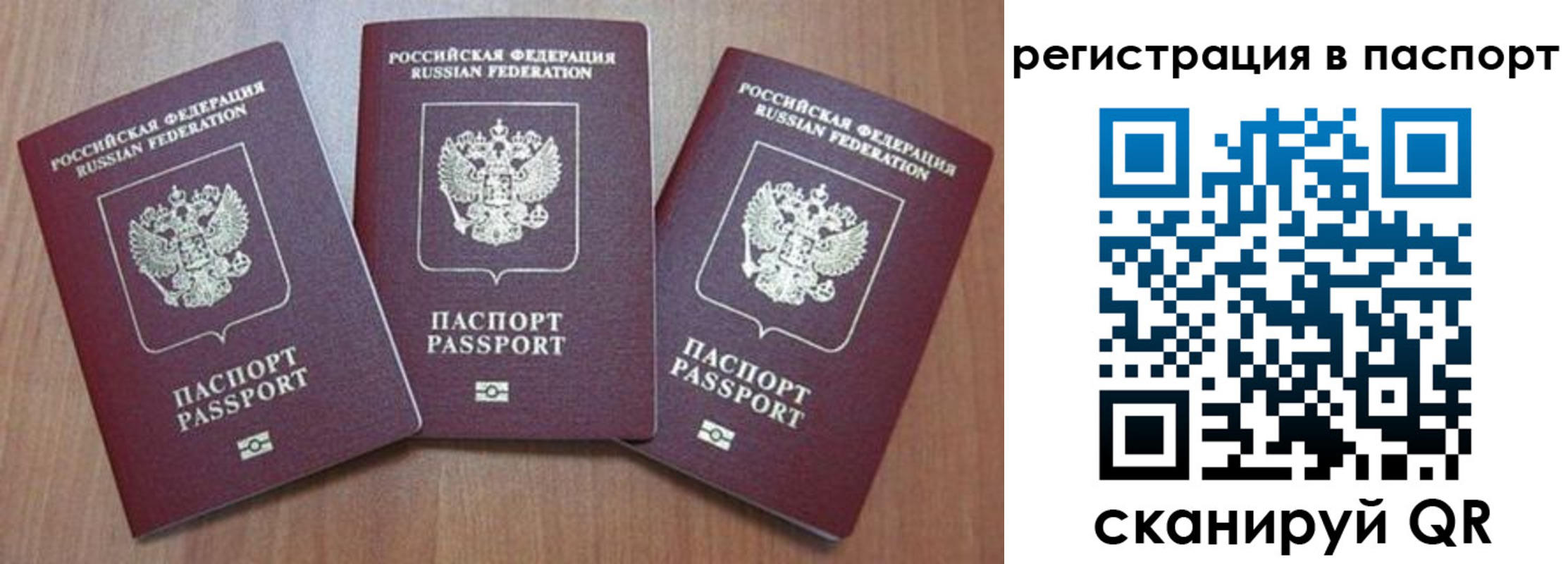 прописка паспорт в Камышлове